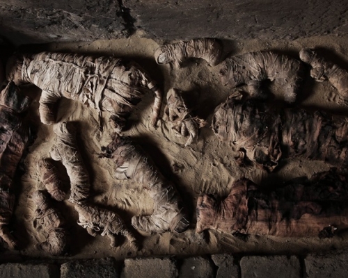 埃及古墓发现木乃伊猫。AP