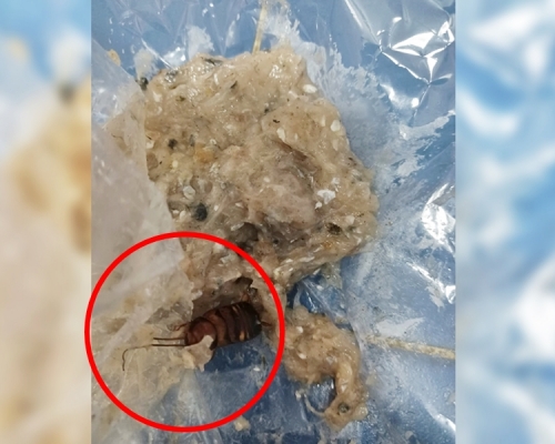 有網民到街市購買鯪魚肉，竟在裡面發現巨型曱甴。「聯和墟的生活點滴」Facebook圖片