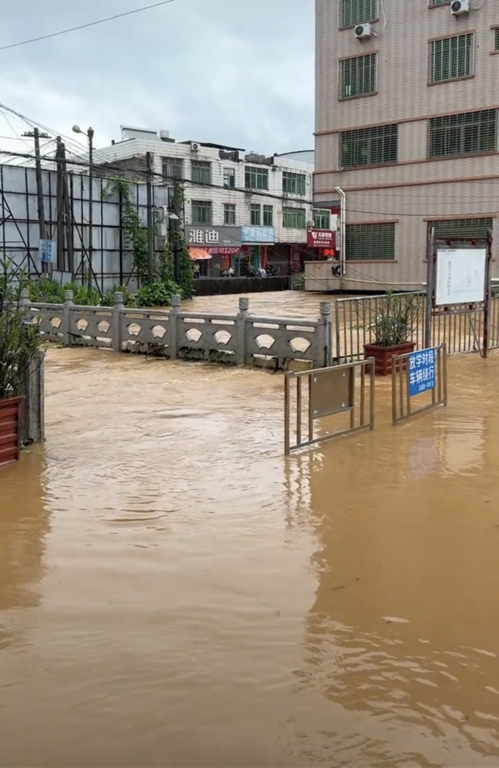 高州街道被洪水淹沒。抖音@高州李才 高州街道被洪水淹沒。抖音@高州李才