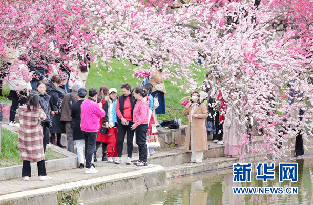 湖北宜昌三峡大学举行第9届「桃花文化节」。新华网