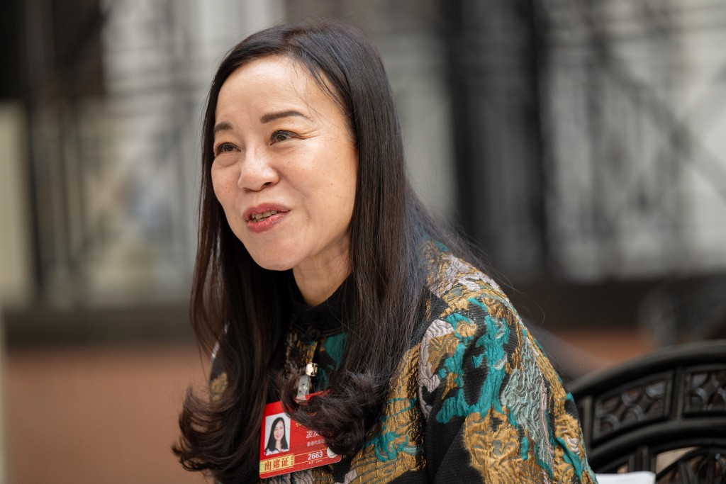 凌友詩認為行政主導是一個體制框架，要思考如何去用好它，而非急速地推出令市民難以執行的一些決策。