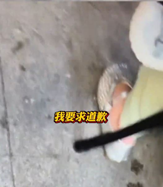 孩子尿污他人衣服後，其家長反罵受害人。抖音＠太子媽