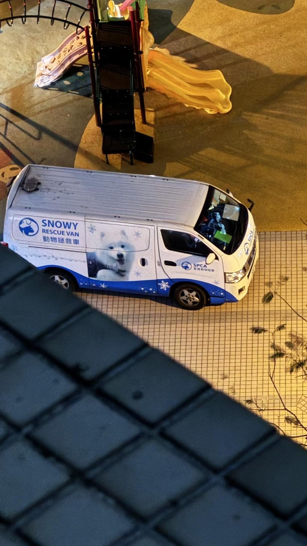 愛協人員到場救貓。網圖 