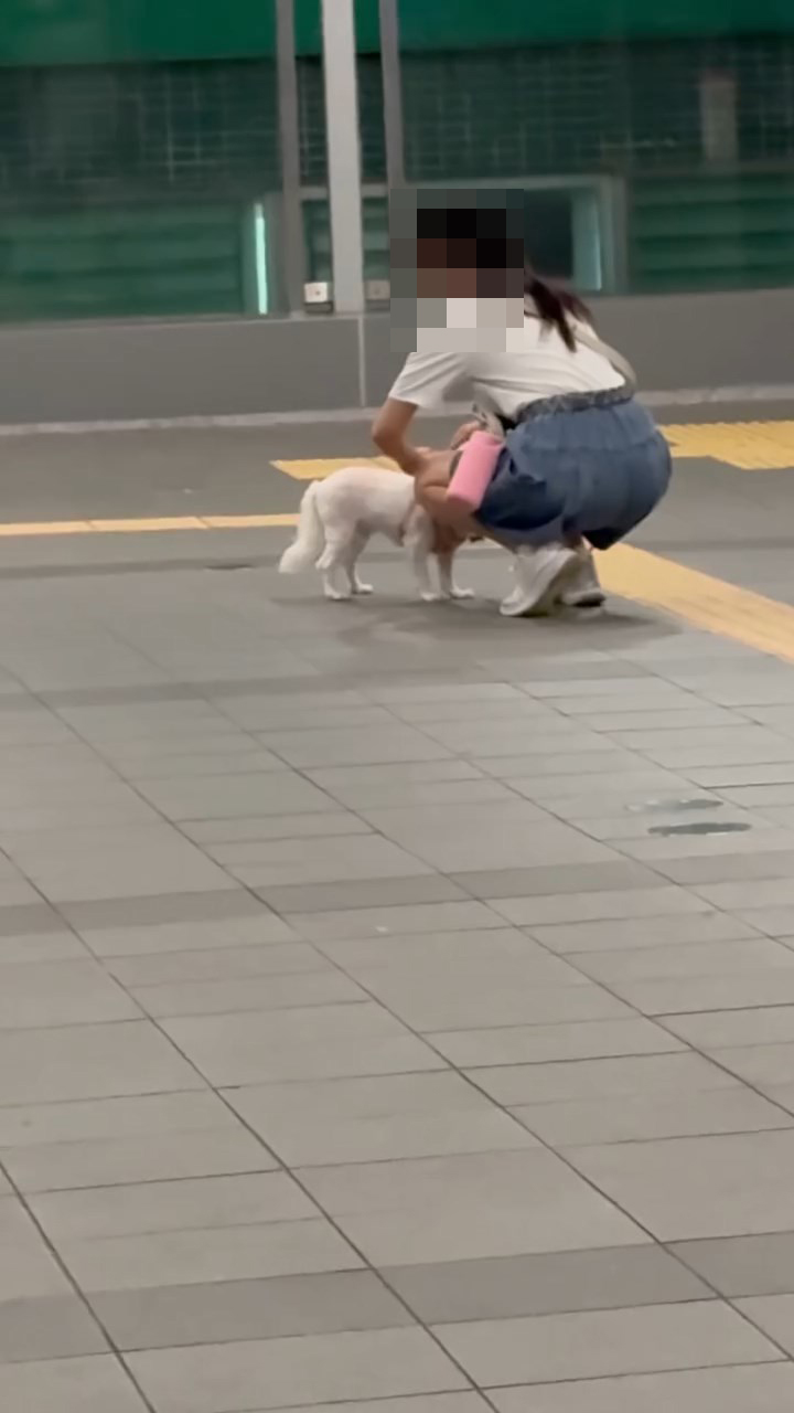 一名白衣女子在旺角道行人天橋上幫狗狗整理狗帶。網上片段截圖