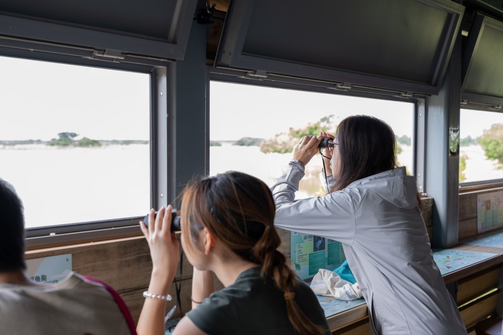 公眾可於秋季鳥類遷徙季節到訪米埔自然保護區自由探索,亦可到在香港唯一現存運作的基圍濕地了解傳統基圍魚塘與現代智慧管理工具的融合。 公眾可於秋季鳥類遷徙季節到訪米埔自然保護區自由探索,亦可到在香港唯一現存運作的基圍濕地了解傳統基圍魚塘與現代智慧管理工具的融合。