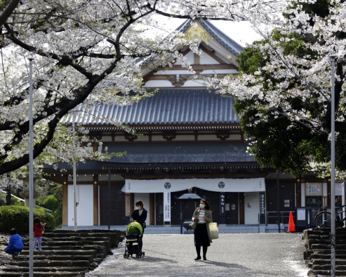 東京不少民眾漠視疫情外出賞櫻。AP