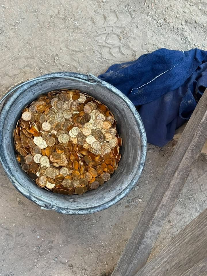 比利時舊屋翻新挖出一大批金幣與金條,價值高達900萬歐元。 fb / Lokale Politie Dendermonde 比利時舊屋翻新挖出一大批金幣與金條,價值高達900萬歐元。 fb / Lokale Politie Dendermonde