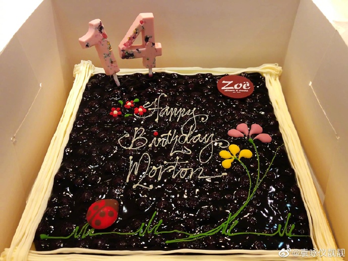 蔡一智夫婦代靚靚和張智霖給魔童送上生日蛋糕。