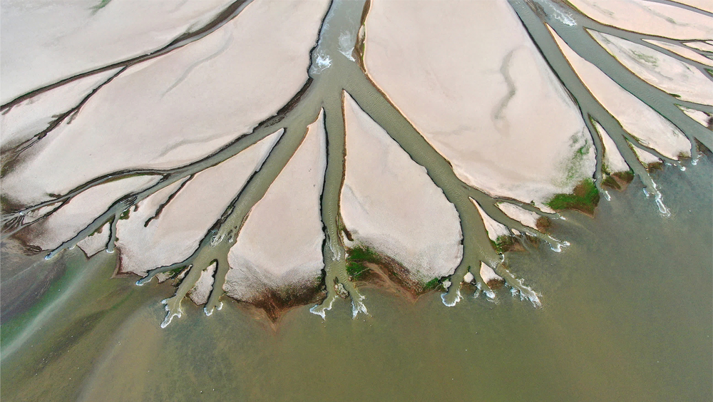 水位持續下降，鄱陽湖現「大地之樹」自然景觀現象。新華社圖片