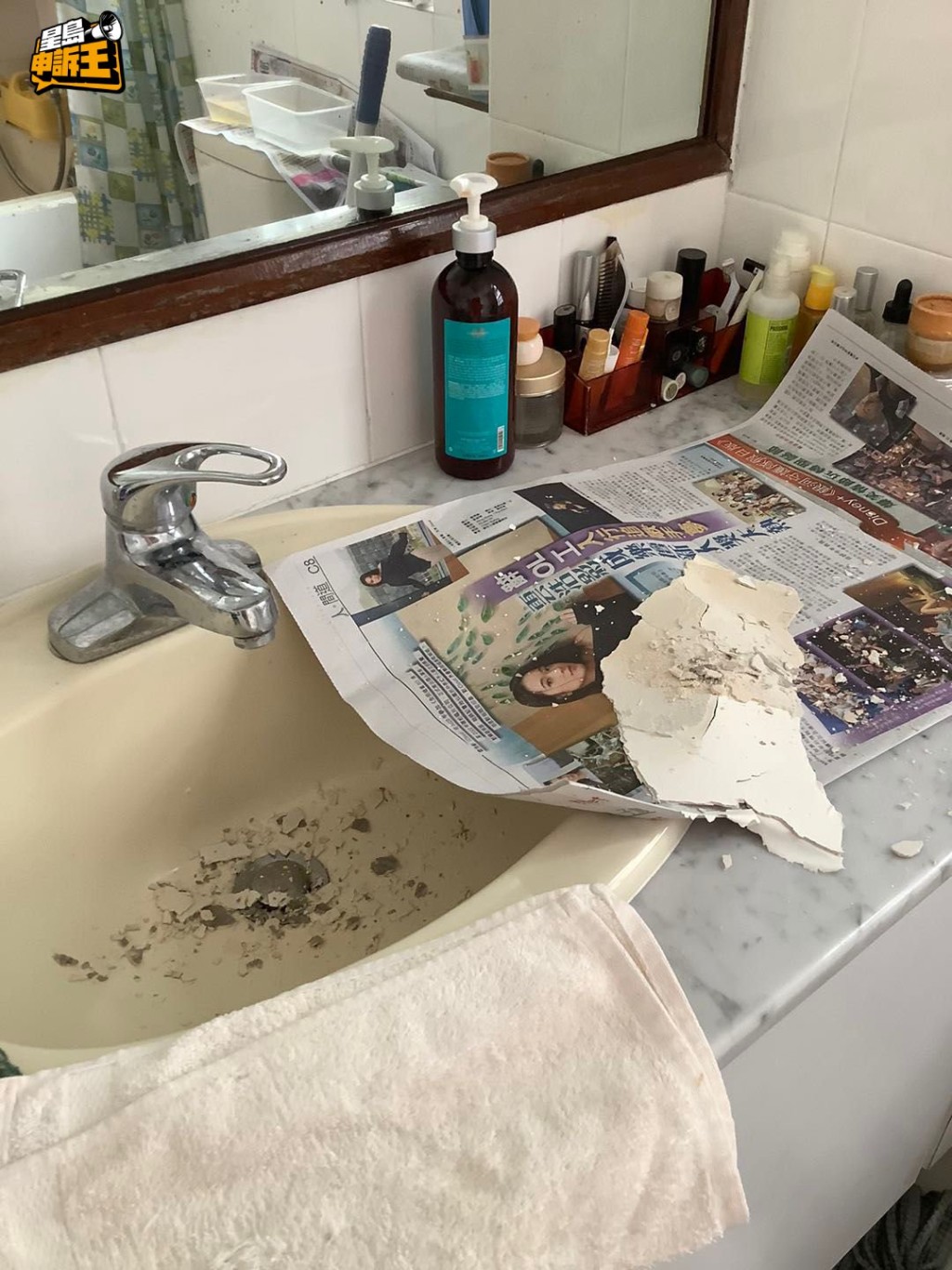 天花油漆及批荡大幅剥落，跌到洗手盘和地下。(被访者提供相片)
