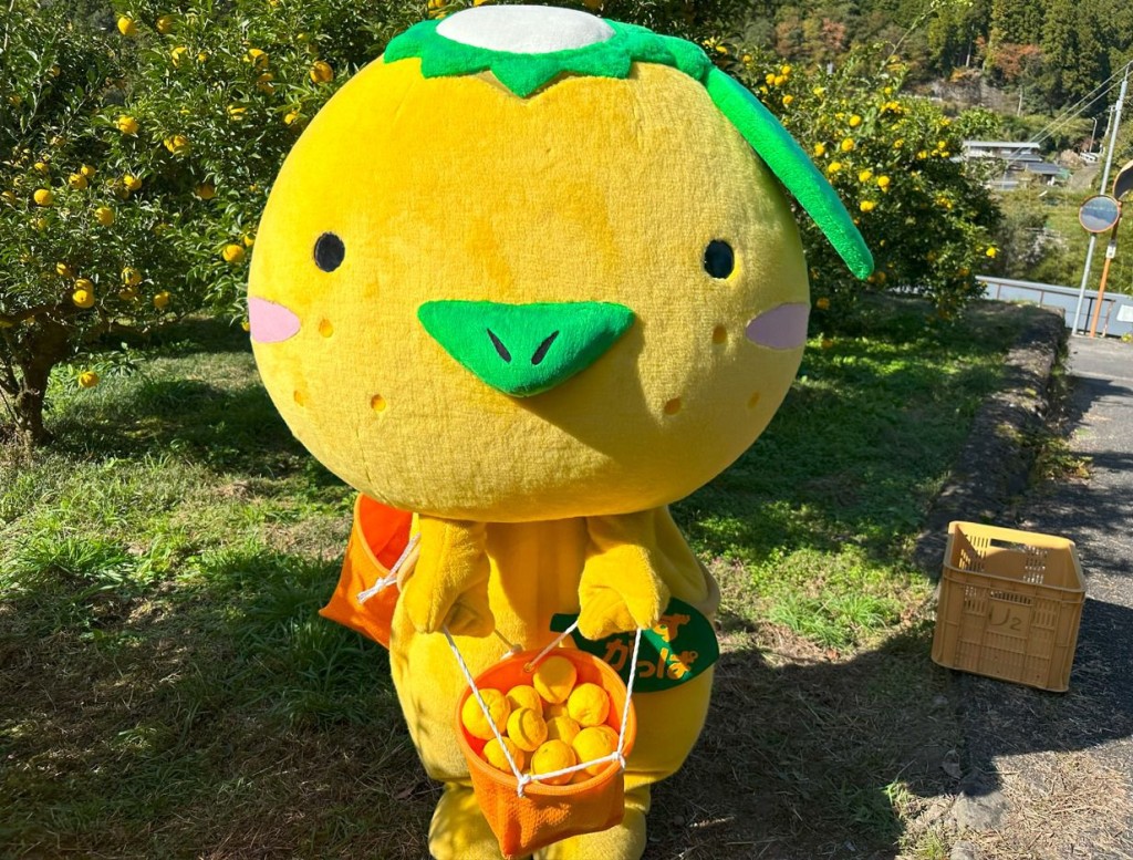 德島縣—「Yuzu-Gappa」(圖片來源:SOGO) 德島縣—「Yuzu-Gappa」(圖片來源:SOGO)