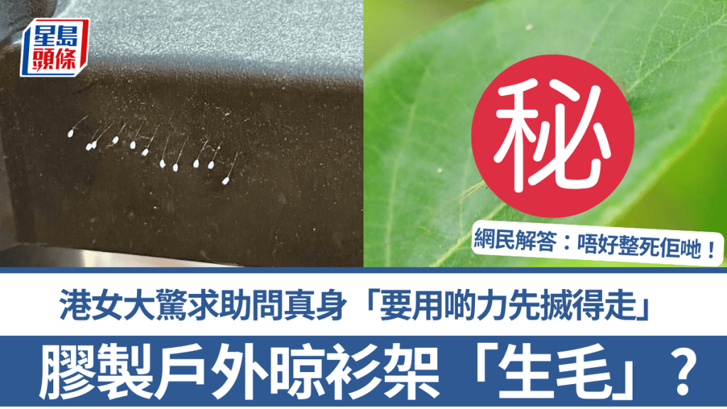 膠製戶外晾衫架「生毛」?港女大驚求助問真身「要用啲力先搣得走」 網民解答:唔好整死佢哋!