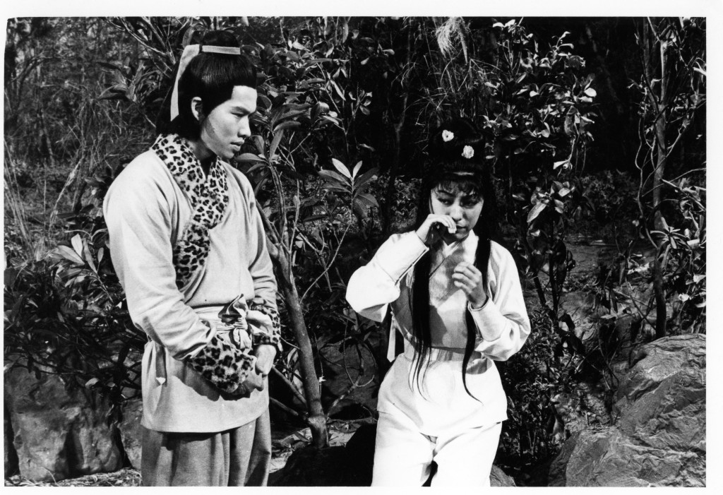 米雪1976年在《射鵰英雄傳》演出黃蓉一角。