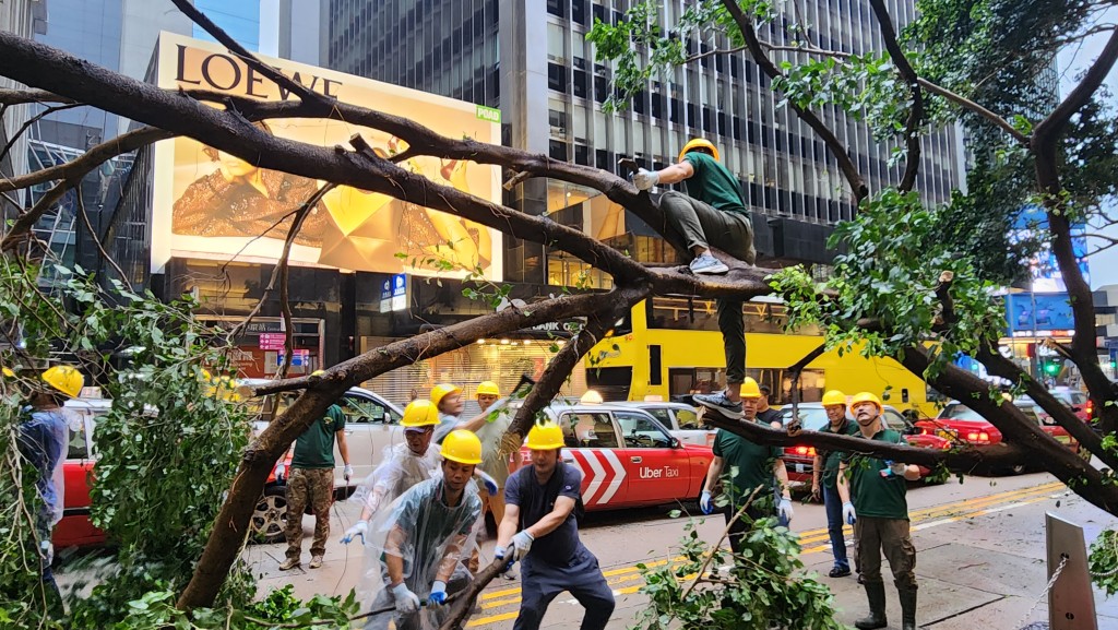 去年2025年有14個熱帶氣旋引致天文台需發出一號波或以上,是自1946年有紀錄以來最多。 去年2025年有14個熱帶氣旋引致天文台需發出一號波或以上,是自1946年有紀錄以來最多。
