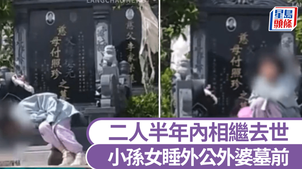 小孫女因太想念去世的外公外婆，故在二人墳前睡覺。《北京日報》