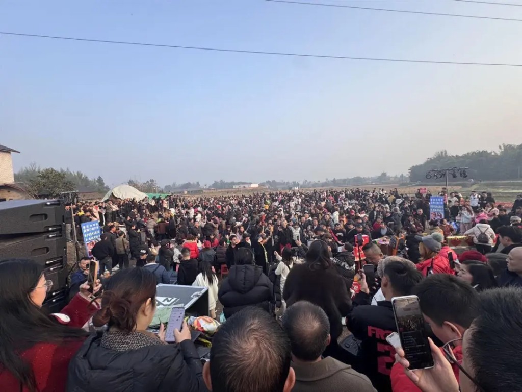 殺年豬成為網絡熱話,數以萬計的網民湧往重慶合川。極目新聞 殺年豬成為網絡熱話,數以萬計的網民湧往重慶合川。極目新聞