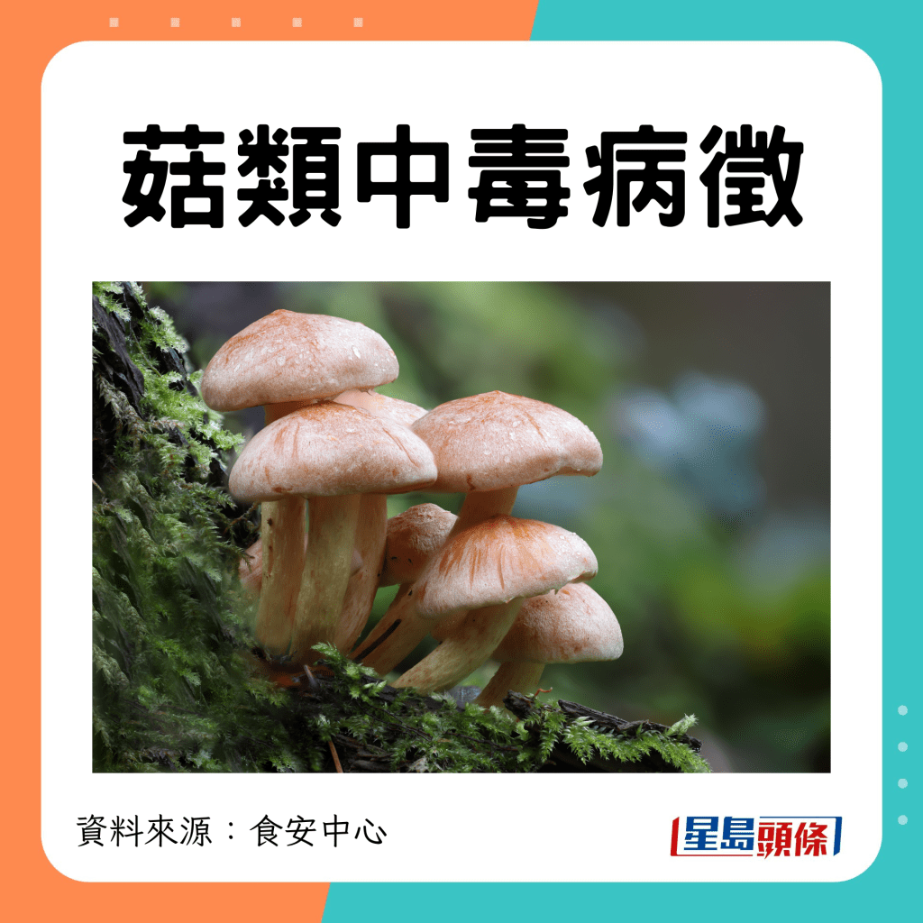 菇類中毒病徵