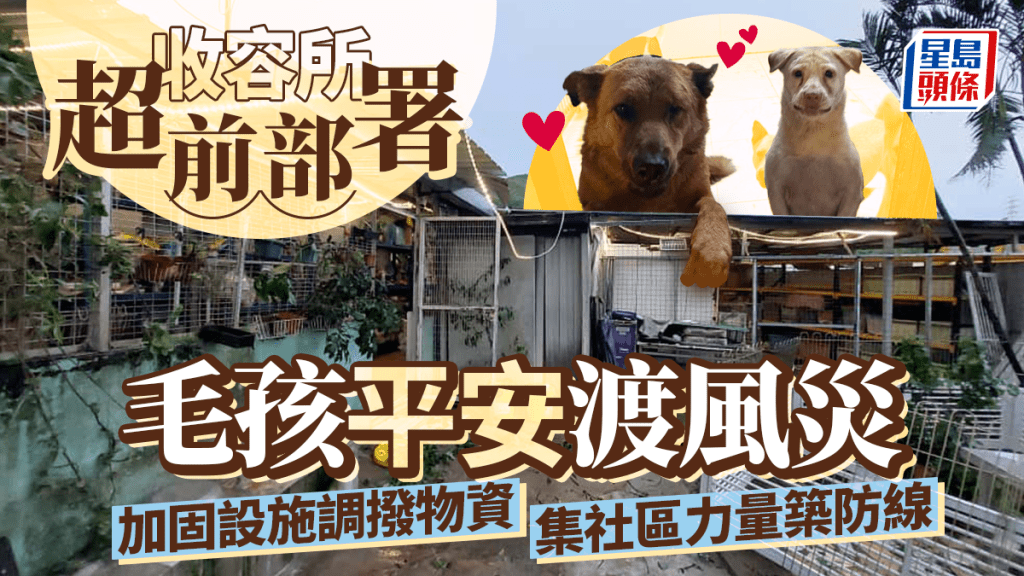 每日雜誌｜收容所超前部署  毛孩平安渡風災  加固設施調撥物資  集社區力量築防線