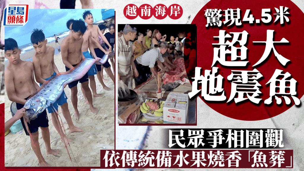 越南順化市海岸日前出現巨型「地震魚」。 facebook