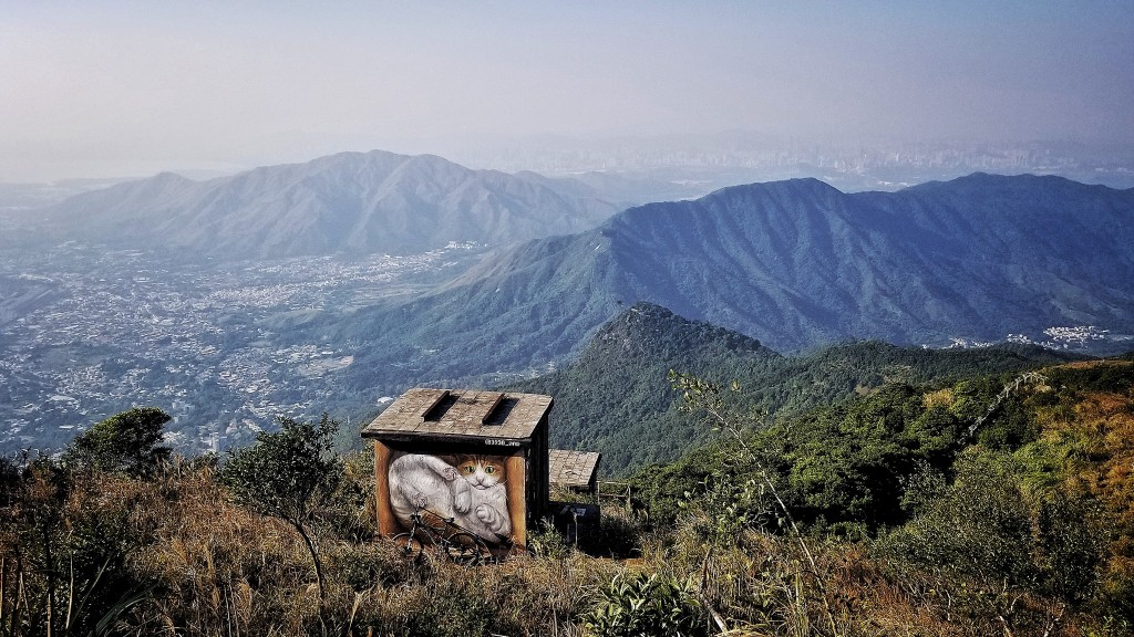 這座「貓屋」原為一間荒廢石屋，位於大帽山約870米高的地方。「山海一線」facebook