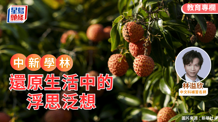 林溢欣 - 還原生活中的浮思泛想｜中新學林