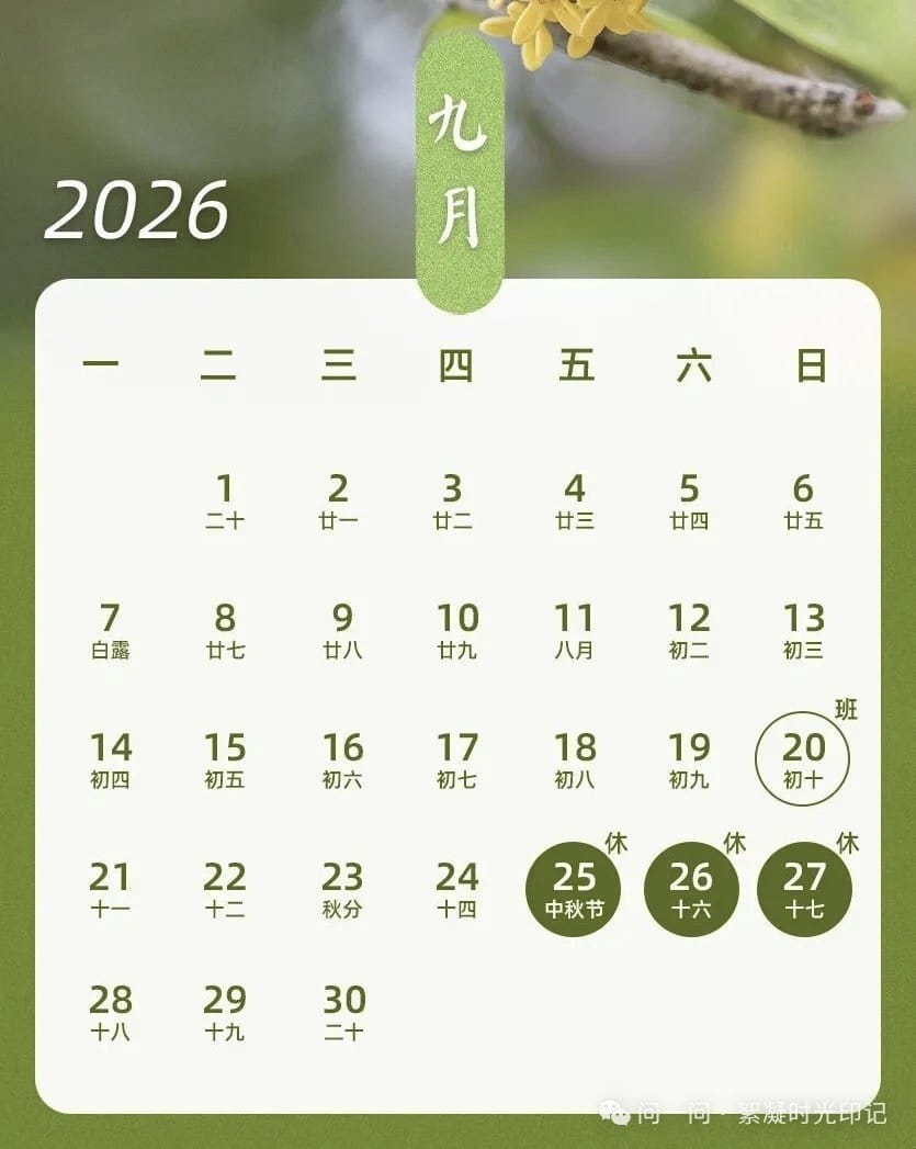 今年内地迎来“上5休1、上5休3、上3休7、上3休1”的放假调休模式。观察者网