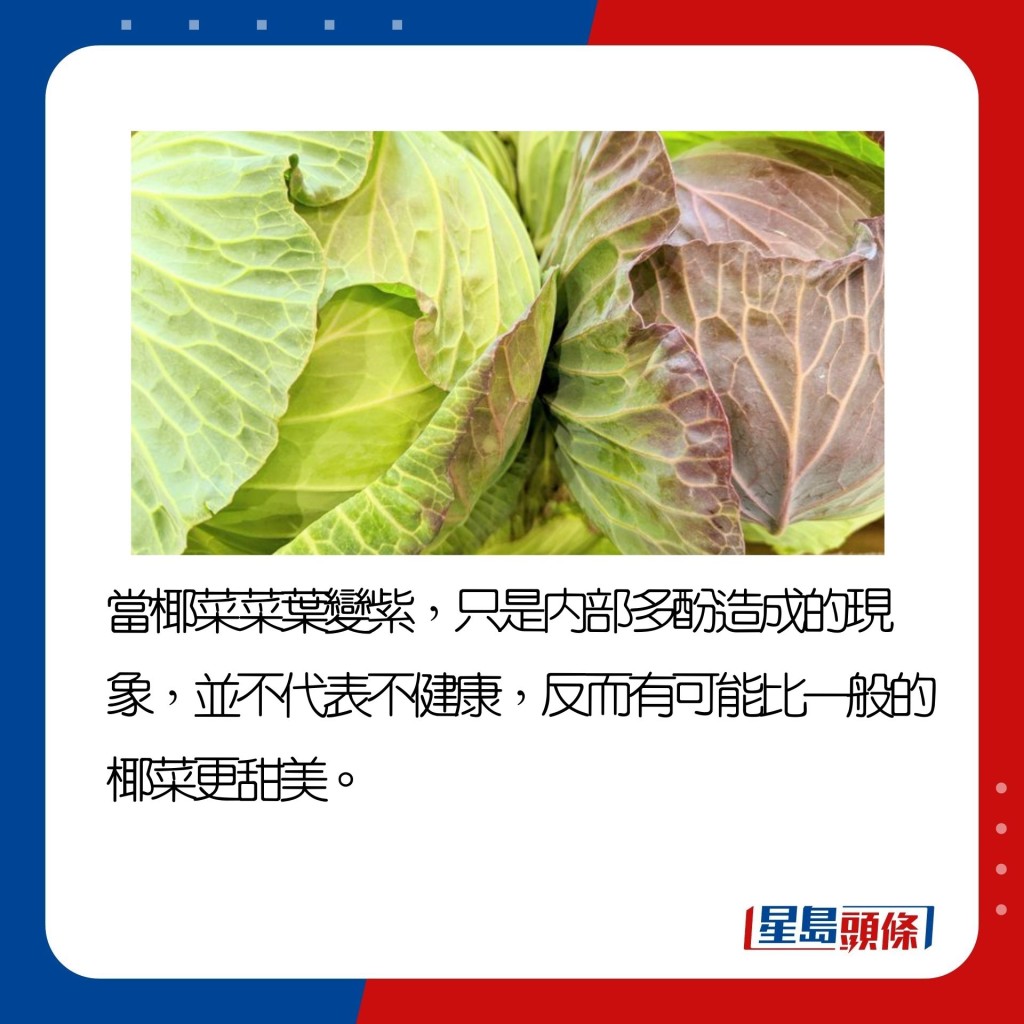 带眼识「菜」│蔬菜变色出黑点不是变坏? 日本蔬菜达人表示一定要买 | 星岛日报