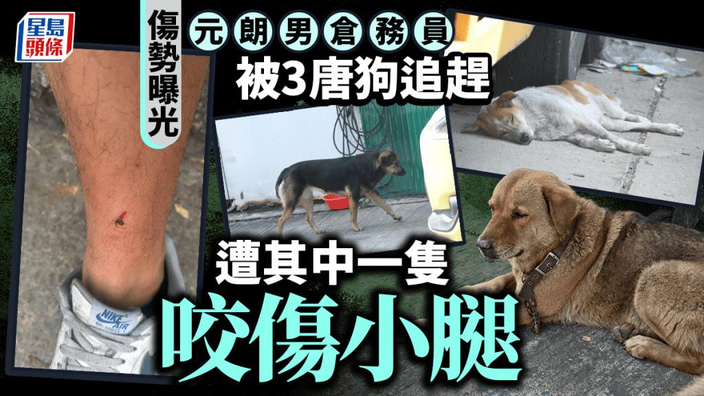 元朗狗咬人│元朗倉務員被唐狗咬傷淌血 傷勢曝光