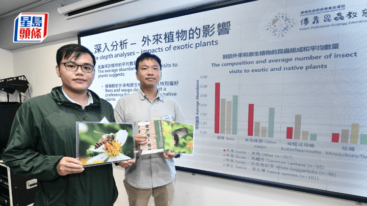 香港戶外生態教育協會辦「環境及自然保育基金資助 傳靠昆蟲教計劃」成果發佈會。盧江球攝。
