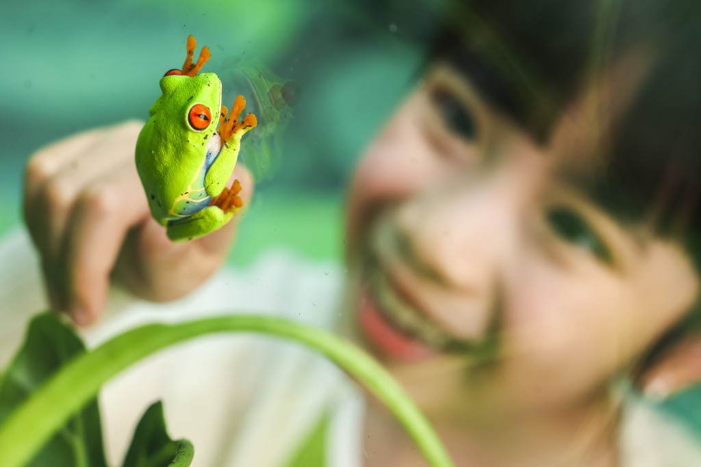 （圖片來源：MCP新都城中心）