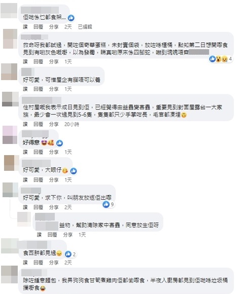 亦有部分網民表示壁虎令人噁心。香港滅蟲關注組FB圖片