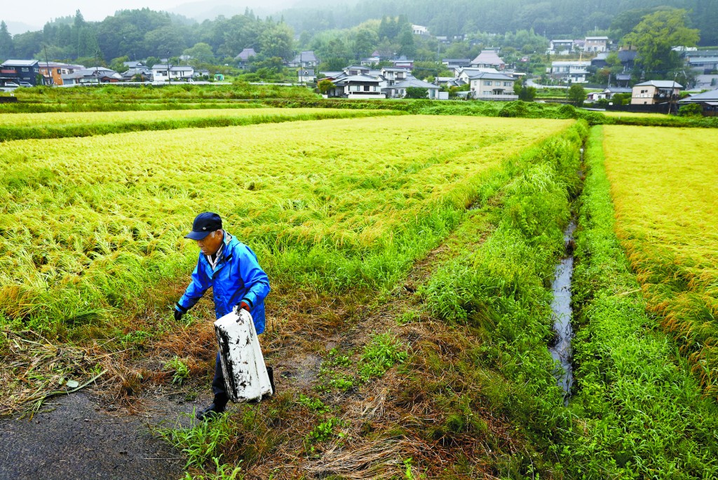 由於天氣異常，日本去年多地稻米失收，嚴重影響供應。 路透社