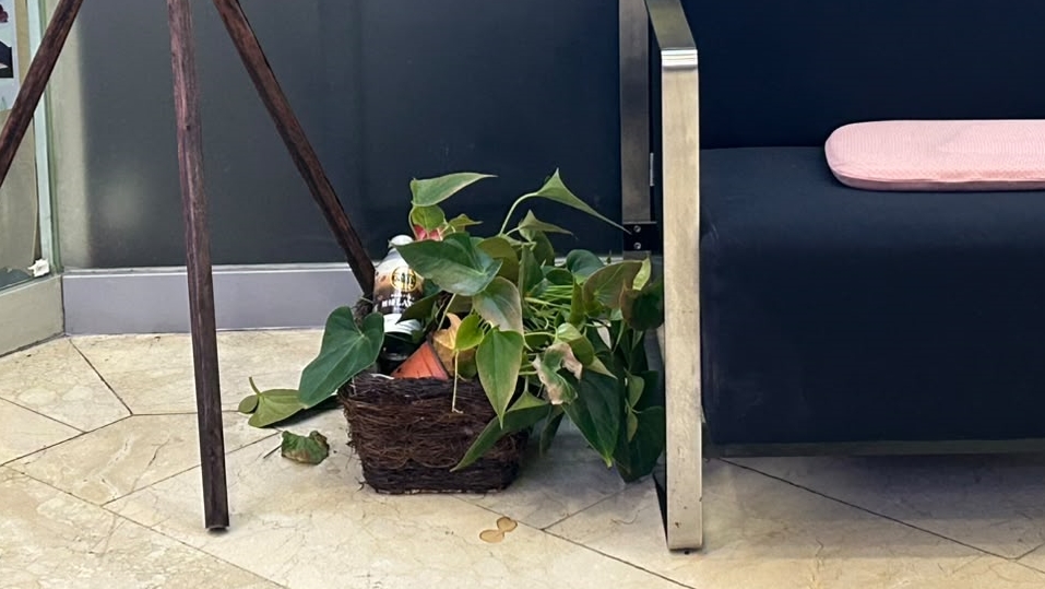 現場遺留一支懷疑涉案的咖啡飲品樽。 現場遺留一支懷疑涉案的咖啡飲品樽。