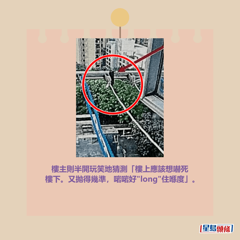 Threads截圖(資料來源:im_product_yan@Threads) Threads截圖(資料來源:im_product_yan@Threads)