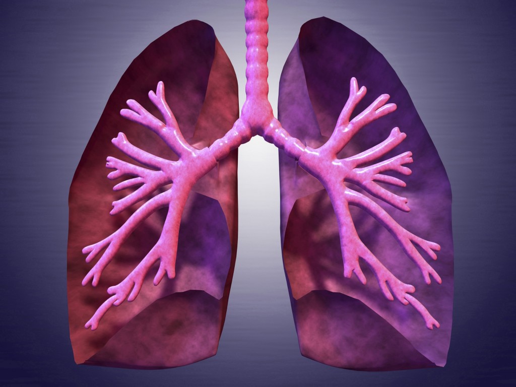 湿疹需要清肺热毒。