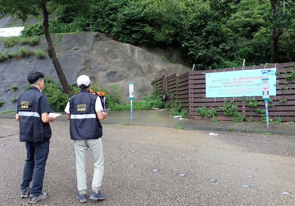 漁護署人員巡查過往有非法餵飼活動的地點，並按情況採取適當的執法行動。政府新聞處