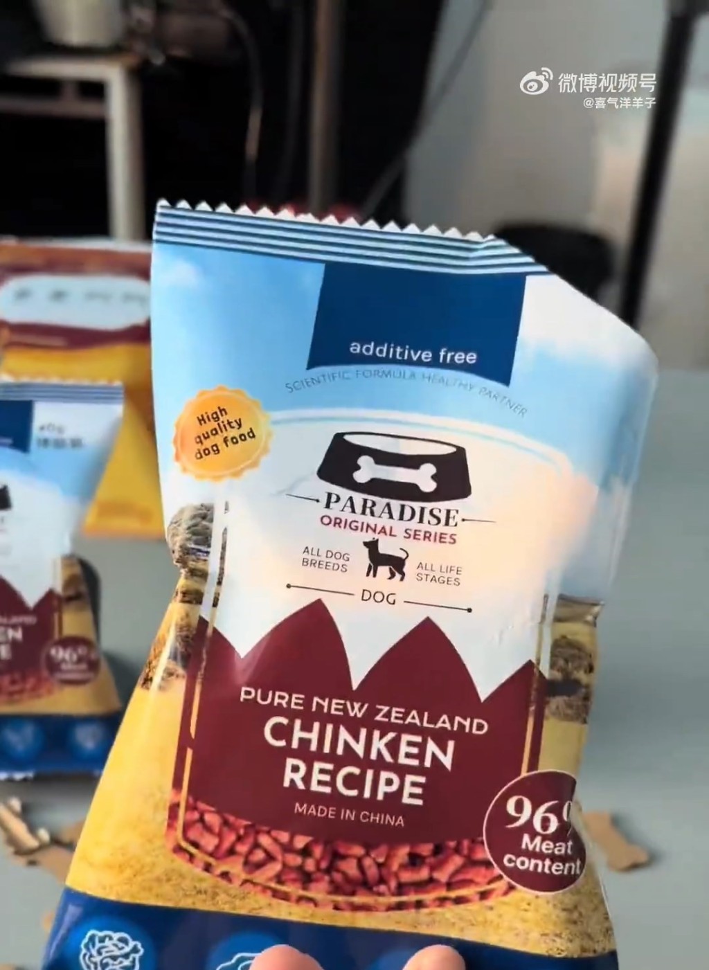 内地宠物经济市场庞大，有工作制作各式宠物祭品。微博@喜气洋洋子