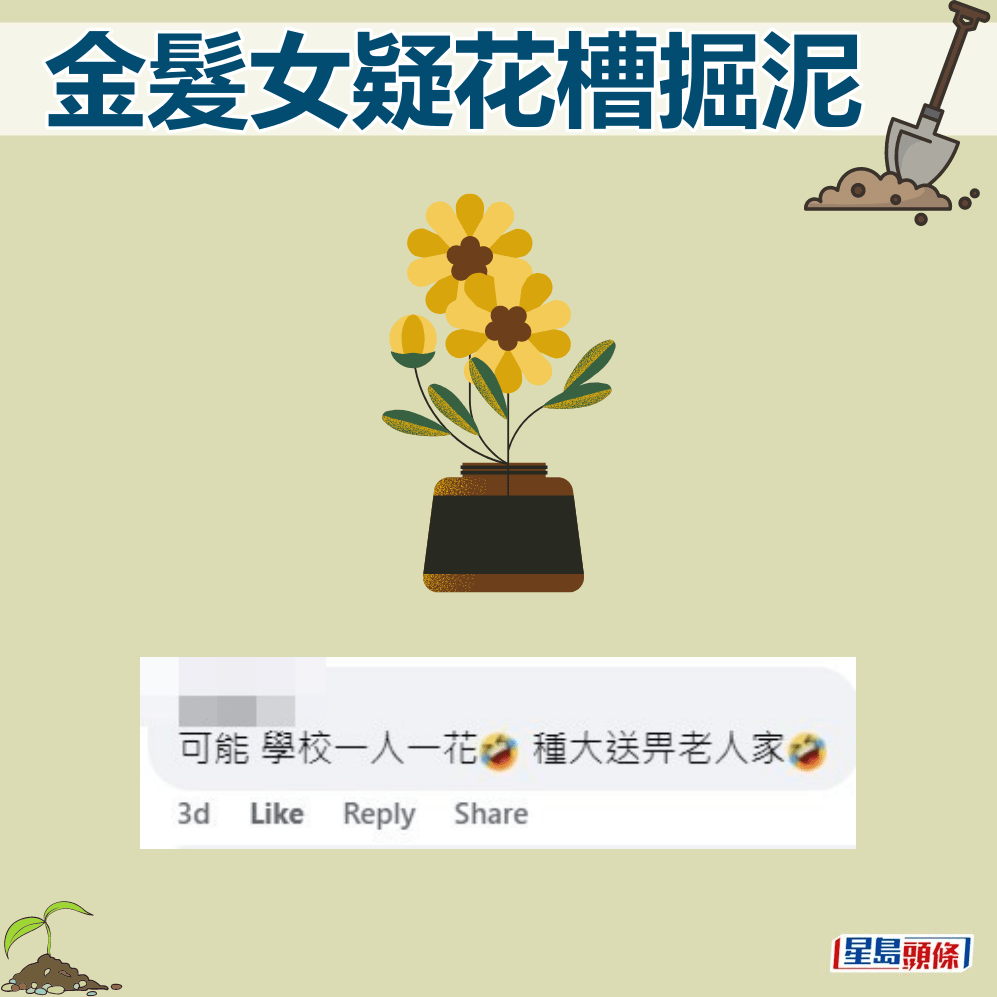 网民：可能学校一人一花，种大送畀老人家。fb“筲箕湾西湾河关注组”截图