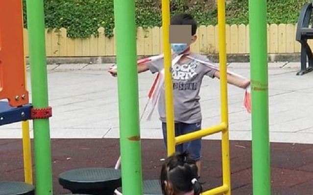 網民Carol Lee 圖片