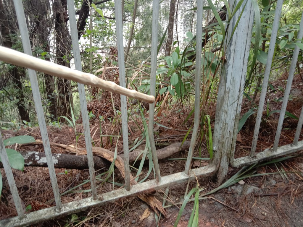 黃麖最後脫困，負傷逃去。讀者提供圖片