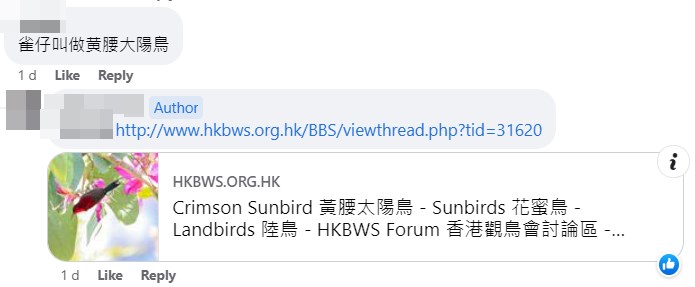 楼主上载「HKBWS Forum 香港观鸟会讨论区」的连结，方便网民一睹黄腰太阳鸟真面目。fb「良景居民（良田新气象）田景、新围」截图  ​