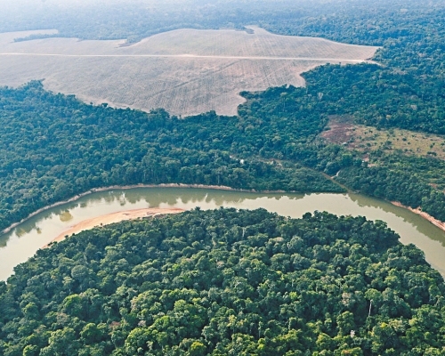 巴西亚马逊森林被砍伐的土地。
