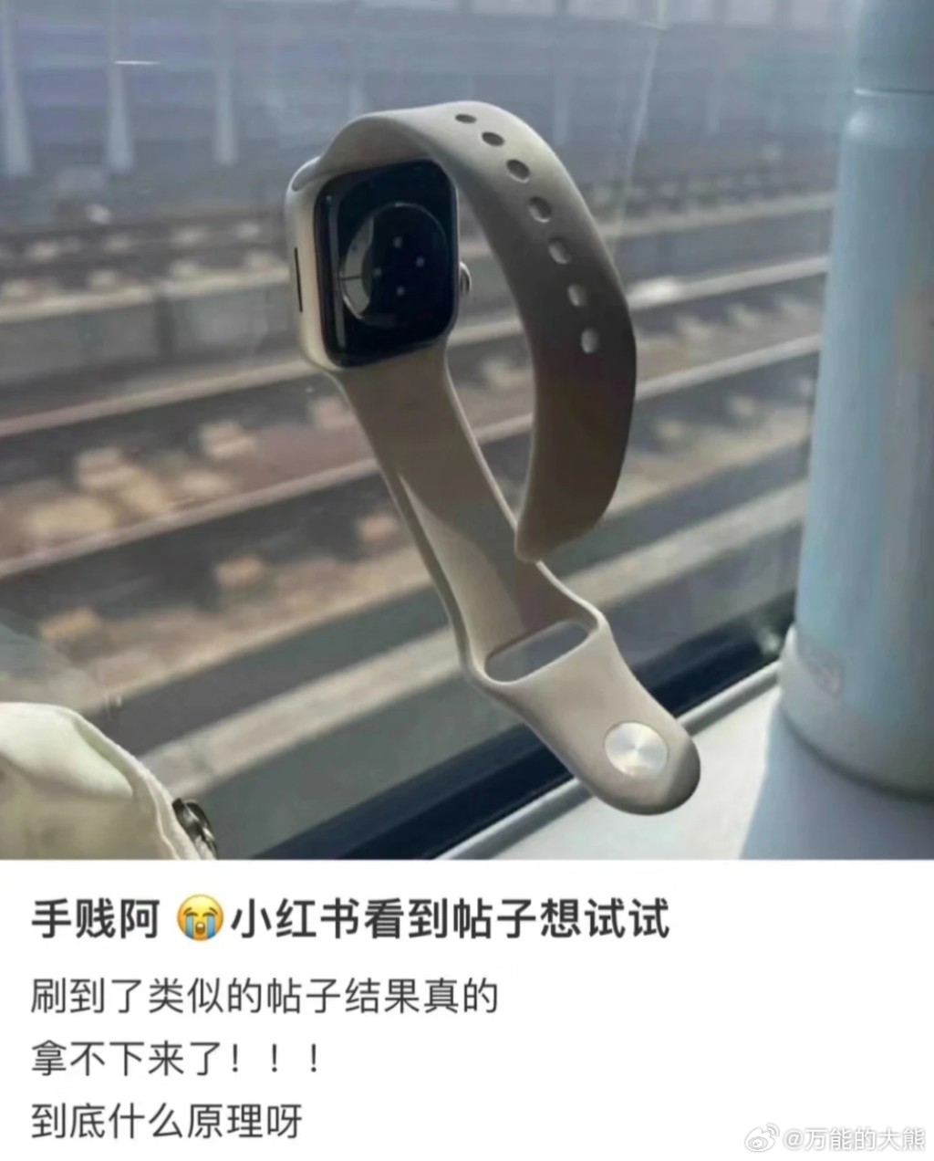 网上流传Apple Watch可以贴在高铁的玻璃上。（微博）