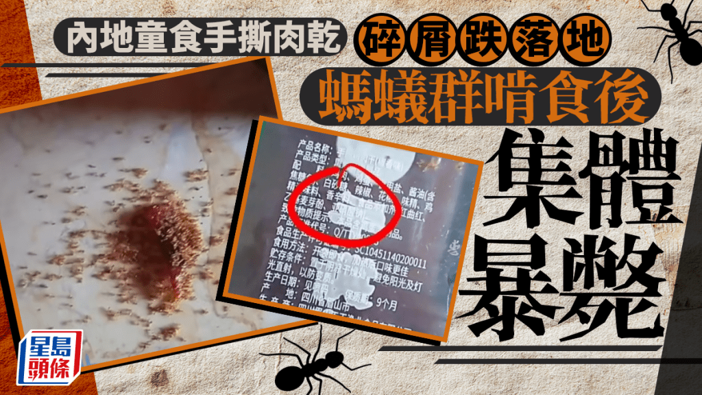 零食變滅蟻藥｜海南童掉落肉乾碎 螞蟻群啃食後暴斃