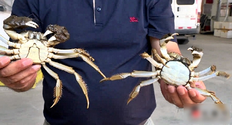 網圖