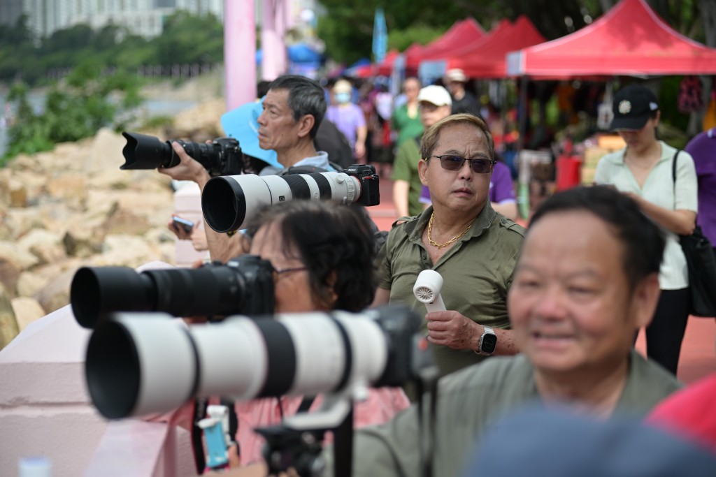 大埔龙舟竞赛吸引不少市民驻足观看。