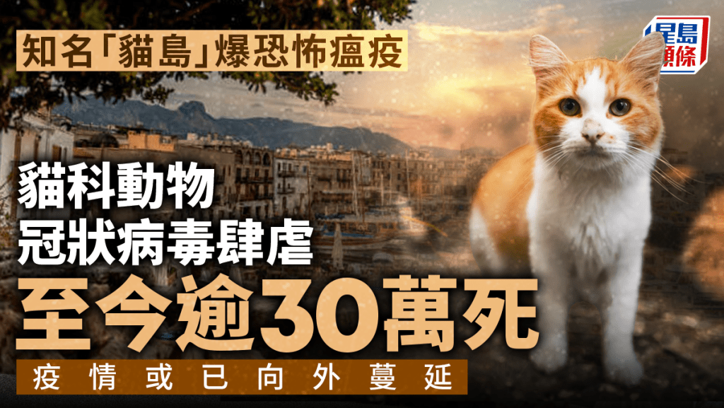 知名「貓島」鬧恐怖貓瘟釀30萬死   病毒恐逐步擴散各地