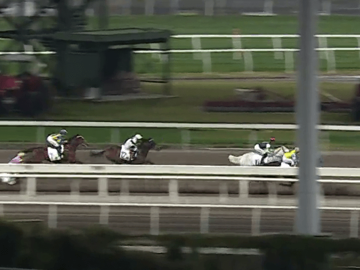 最後馬匹倒地，騎師何澤堯墮馬。馬會官網片段