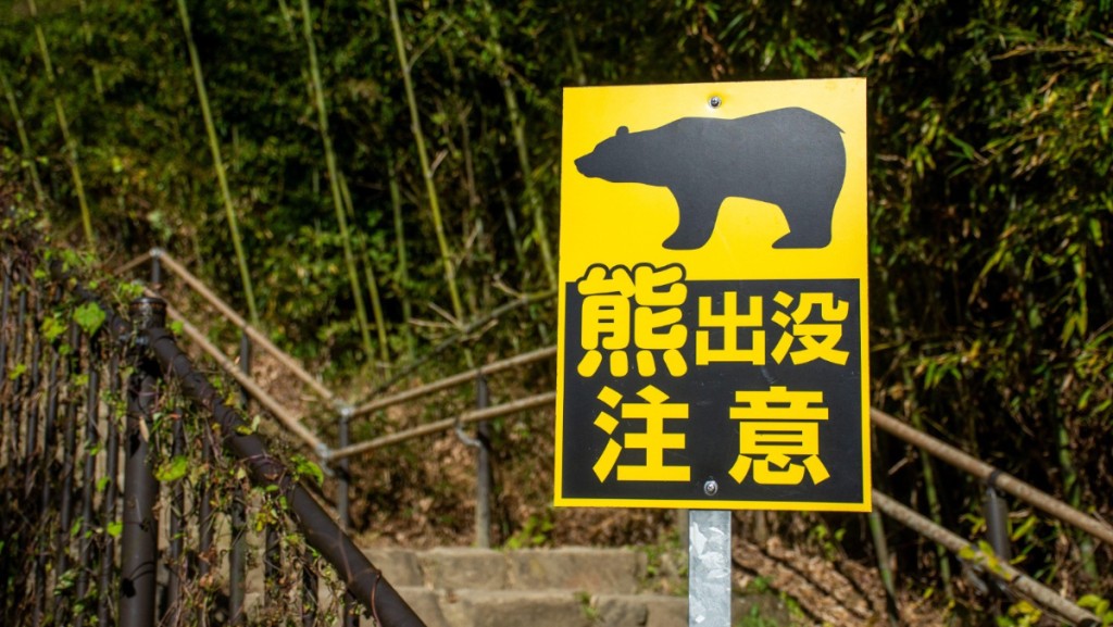 鄰近山林的地區頻繁有民眾通報目睹熊出沒。路透社 鄰近山林的地區頻繁有民眾通報目睹熊出沒。路透社