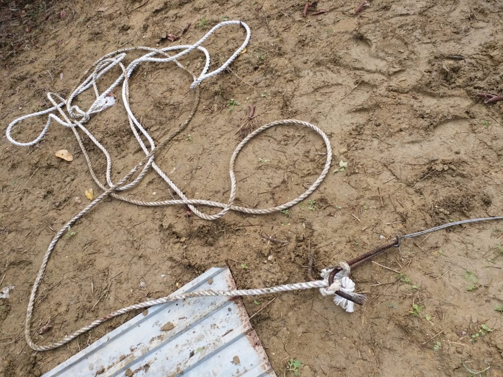 上麻雀嶺村發現有捕獸器及繩索。 愛護動物協會提供